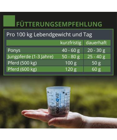 Equinova Gastro Renon 3 kg. - Buy Online on GoSupps.com