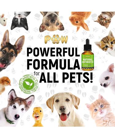 GoldenPaw Herbal Pet Supplement for Cats - Natural Support for Feline Health - Buy Online on GoSupps.com