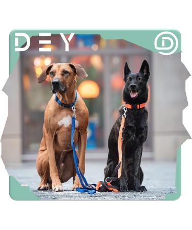 Dey Premium Dog Leash - 2m Air Mesh 3-Way Adjustable for All Dog Sizes Multiple Colors Ideal for Puppies & Cats - Blue XS/S - Buy Online on GoSupps.com
