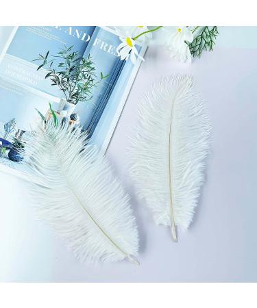 Piokio 20 pcs White Ostrich Feathers Plumes 10-12 inch | DIY Christmas & Wedding Party Decorations - Buy Online on GoSupps.com