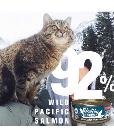 Healthy Shores Minced Salmon Cat Food 24/100g - Buy Online on GoSupps.com
