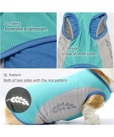 Light Dog Cooling Vest | Breathable T-Shirt with UV Protection | Reflective Dog Jacket for Small to Medium Dogs | Spring & Summer Blue - Buy Online on GoSupps.com