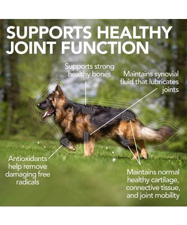 Vet's Best Advanced Hip & Joint Supplements for Dogs Supports Joint and Cartilage Health in Dogs 60 Chewable Tablets - Buy Online on GoSupps.com