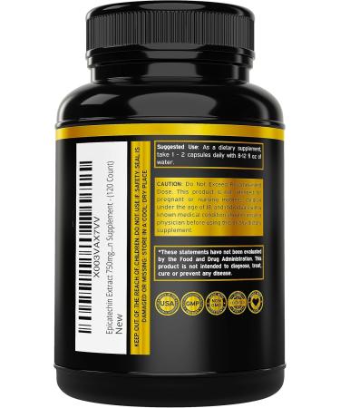 Epicatechin Extract 750mg - Lean Muscle & Endurance Support - 120 Capsules - Non-GMO Vegan Supplement - Buy Online on GoSupps.com