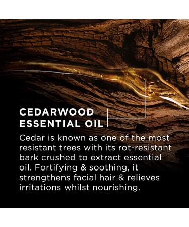 L'Oreal Paris Men Expert Barberclub Kit with Beard Oil 3 in 1 Face Wash beard Wash and Shampoo for Men with Cedarwood Essential Oil Full Size Products 2 Count Beard Oil + 3-in-1 Wash Kit - 2 Count - Buy Online on GoSupps.com