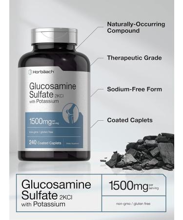 Horb ach Glucosamine Sulfate 1500mg | 240 Caplets | 2KCI with Potassium | Non-GMO and Gluten Free Supplement - Buy Online on GoSupps.com