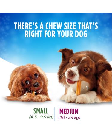 DentaLife Chews Dog Treats for Small Breed Dogs - 595 g Pouch (1 Pack) 40 count (Pack of 1) - Buy Online on GoSupps.com