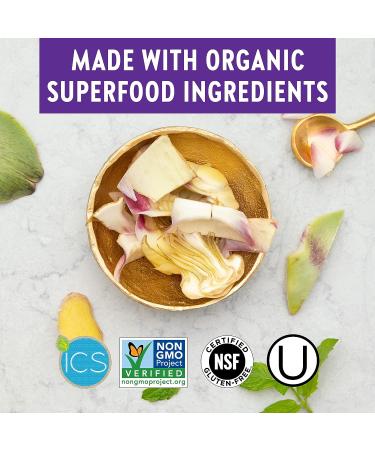 New Chapter Fermented Iron Complex - 90ct 3 Month Supply | Organic Whole-Food Ingredients | Non-Constipating Formula - Buy Online on GoSupps.com
