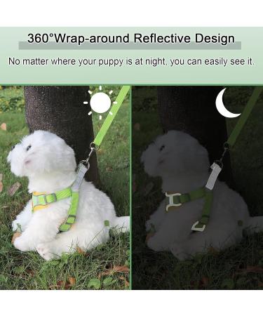 Rennaio No Pull Dog Harness & Leash Set for Small & Medium Dogs Adjustable Comfortable Green M - Buy Online on GoSupps.com