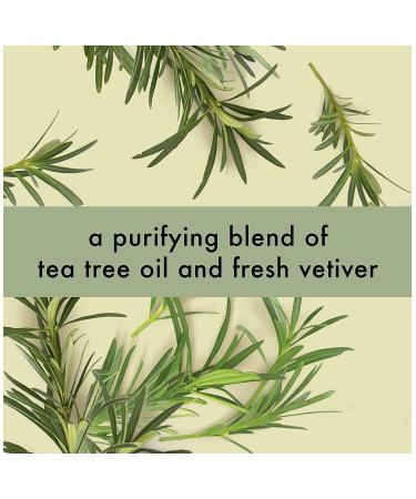 Love Beauty & Planet Daily Detox Hand Soap - Tea Tree Oil & Vetiver 13.5 oz - Buy Online on GoSupps.com