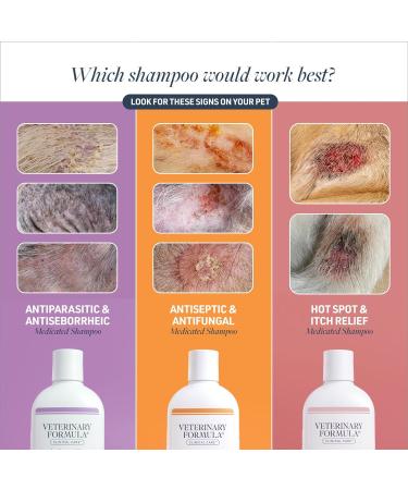 Veterinary Formula Clinical Care Antiparasitic & Antiseborrheic Medicated Dog Shampoo 16 oz Paraben Dye Soap Free Hydrating and Antifungal Shampoo for Dogs White 16 Ounce Medicated Shampoo - Buy Online on GoSupps.com