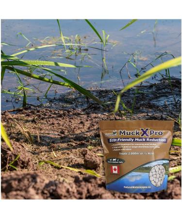 MuckX Pro Pond Sludge Remover - Beneficial Bacteria for Pond & Lake Muck Removal (4.53 kg) - Buy Online on GoSupps.com