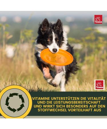 Vitamins for Dogs 100 ML Multivitamins and Minerals B Vitamins with Vitamin A B12 DE Folic Acid Iron Zinc Selenium L-lysine and Calcium Strengthens Vitality The Immune System Skin Coat - Buy Online on GoSupps.com