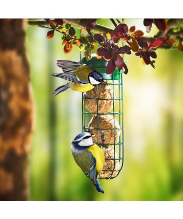 Paul's M hle All-Year Round Dumplings with Insects & Dried Fruits - 200 Pieces (Pack of 2) | International Shipping Available - Buy Online on GoSupps.com