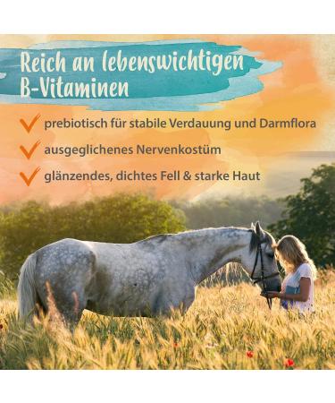 Ida Plus Beer Yeast Powder 500g - 100% Natural Dog Cat & Horse Supplement for Shiny Fur & Healthy Skin - Rich in B Vitamins & Minerals - Buy Online on GoSupps.com