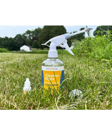 Blue Echo Care Cleanse Right Ear Wax Removal Tool Kit - Includes Ear Drops Bottle & Reusable Tip - Remove Excessive Earwax at Home - 1 Count - Buy Online on GoSupps.com