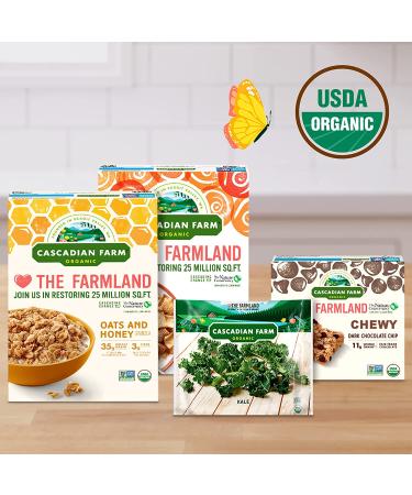 Cascadian Farm Organic Coconut Cashew Granola | No Added Sugar | 14 oz - Buy Online on GoSupps.com