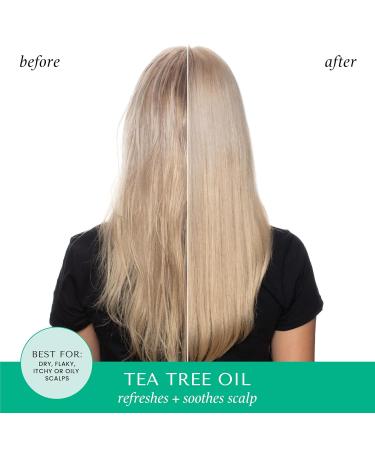 HASK TEA TREE Revitalizing Deep Conditioner - 6 Pack for All Hair Types Color Safe Gluten Free Sulfate & Paraben Free - International Shipping Available - Buy Online on GoSupps.com
