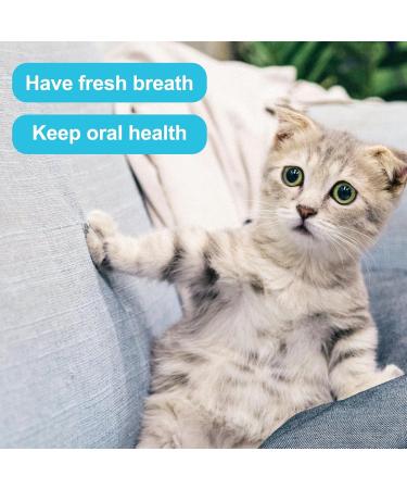 2-Piece Cat Toothbrush Set - Double-Sided Cleaning Brush for Kittens & Cats | Microbe Brush Head & Curved Handle | Deep Cleaning Accessories (Blue Purple) - Buy Online on GoSupps.com