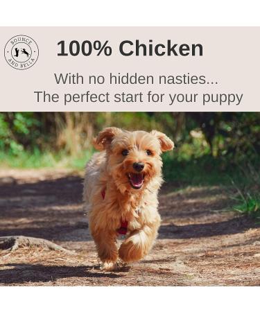 Pure Chicken Nibbles - Perfect Puppy Treats from 8 Weeks Just One Ingredient Natural Grain Free Dog Treats with No Nasties 100g Chicken 100 g (Pack of 1) - Buy Online on GoSupps.com