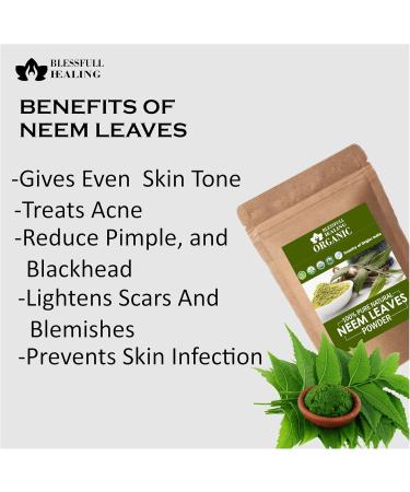 Blessfull Healing Organic 100% Pure Natural Neem Leaves Powder | 100 Gram / 3.52 oz 1 count (Pack of 1) - Buy Online on GoSupps.com
