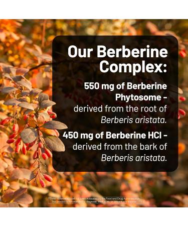 NatureWise Berberine 1000mg - Berberine Phytosome + HCI + Turmeric & Digestive Enzymes - Supports Healthy Blood Sugar + GI + Metabolism + Cholesterol - Non-GMO USA Manufactured - 30 Day Supply  - Buy Online on GoSupps.com