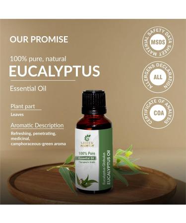 Eucalyptus Oil -(Eucalyptus Globulus)- Essential Oil 100% Pure Natural Undiluted Uncut Therapeutic Grade Oil 16.90 Fl.OZ 16.90 Fl Oz (Pack of 1) - Buy Online on GoSupps.com
