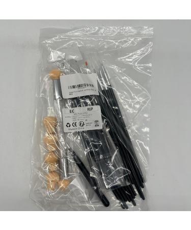 Anyases 23-Piece Nail Art Design Set - 18 Nail Brushes Double Head Sponge Stick & 4 Replacements - Perfect for Professional Nail Designs - Buy Online on GoSupps.com