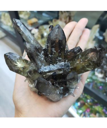 Crystal Rough Specimen Healed 1pcs 300-400g Natural Smoky Quartz Quartz Cluster Crystal Clear Quartz Point Specimen Decor Collection As a Gift - Buy Online on GoSupps.com