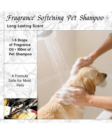 HIQILI 100ML Clary Sage Essential Oil & 150ML Cologne Ocean Fragrance Oil for DIY Diffuser - Buy Online on GoSupps.com