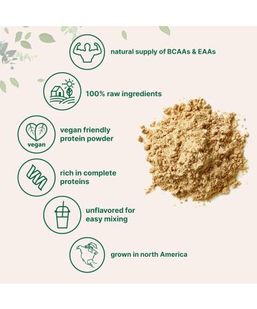 Micro Ingredients Pea Protein Powder | 5 lbs Plant-Based Vegan Protein | Non-GMO Keto Friendly 27g Serving Rich in BCAAs & EAAs - Buy Online on GoSupps.com