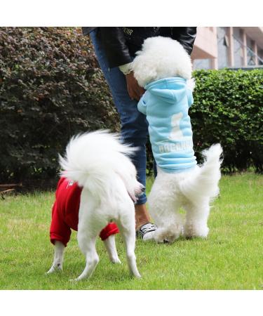 Fashion Dog Hoodie | Pure Cotton Streetwear for Small & Medium Dogs | Light Blue XL Dog Clothing - Buy Online on GoSupps.com