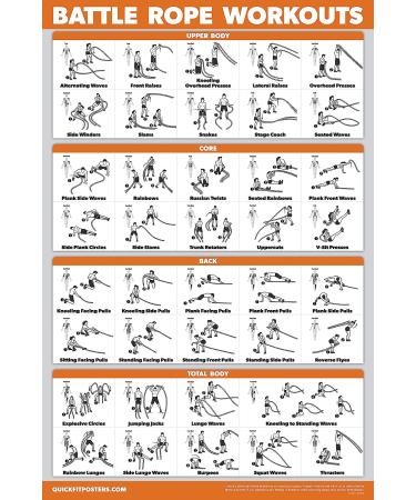 Palace Learning 20 Pack Exercise Poster Set - Laminated 18x24 - Dumbbell, Suspension, Battle Rope, Yoga, Barbell, Bodyweight, Kettlebell, Resistance Bands & More - Buy Online on GoSupps.com