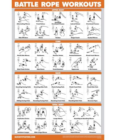16-Piece Exercise Training Poster Set | Dumbbell Suspension Yoga & More | 18x24 Inch | Ships Internationally - Buy Online on GoSupps.com