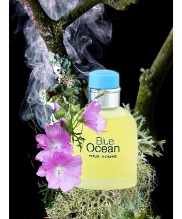 BLUE OCEAN POUR HOMME EAU DE TOILETTE 3.4 Fl. oz. Citrus Aromatic fragrance for Men. - Buy Online on GoSupps.com