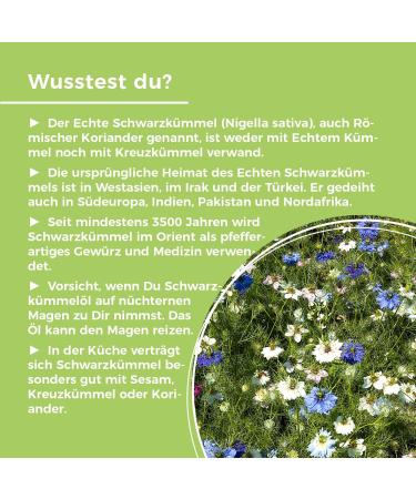  GREAT VITA GreatVita Black Seed Oil 500ml - 100% Pure Cold Pressed Filtered Versatile for Cooking & Skincare No Additives Print May Vary - Buy Online on GoSupps.com