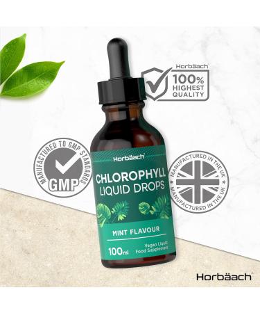 Liquid Chlorophyll Drops for Water | 100ml - 3+ Months Supply | Vegan Liquid Food Supplement Extracted from Alfalfa | Mint Flavour | by Horbaach - Buy Online on GoSupps.com