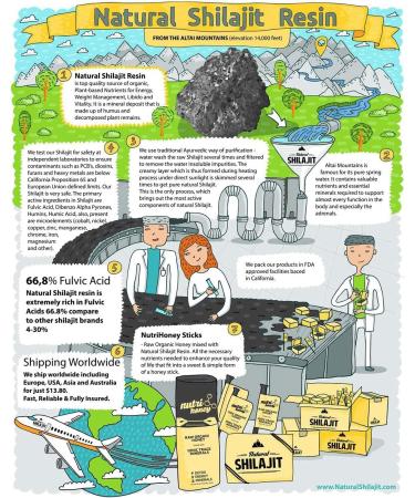 Shilajit Honey Sticks - Gold Grade Shilajit Resin & Raw Honey Blend - 7 Sticks for Energy & Immune Support - Buy Online on GoSupps.com