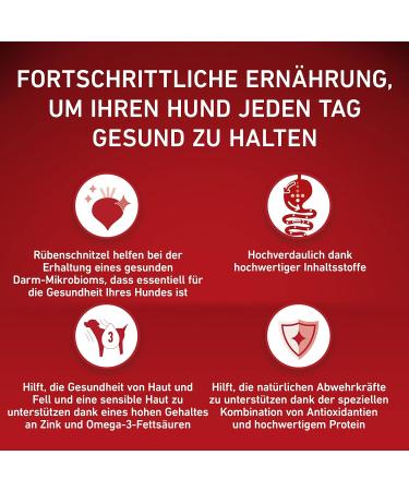 PURINA ONE Mini/Small Delicate Dry Food for Small Dogs Rich in Salmon and Rice 8 x 800 g Cans - Buy Online on GoSupps.com