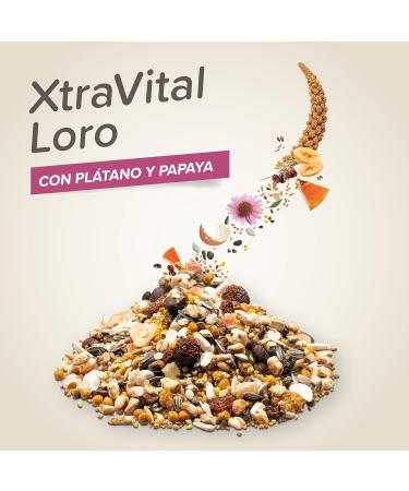 BEAPHAR XTRAVITAL Premium Food for Parrot Contains Fruits Seeds and Egg Pate Strengthens the Immune System Provide - Buy Online on GoSupps.com