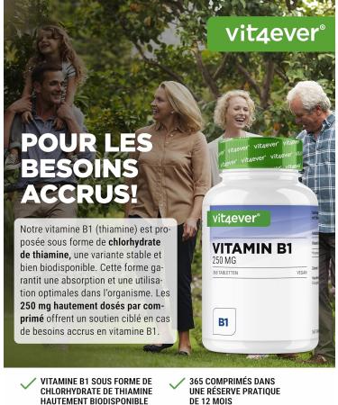 Vitamin B1 (Thiamine) - 250 mg - 365 Tablets - Premium: Thiamine Hydrochloride - High bioavailability - 12 months reserve - No unwanted additives - Vegan - Buy Online on GoSupps.com