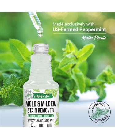 Mighty Mint Mold & Mildew Stain Remover Spray - Natural Peppermint Fast Cleaning for Bathroom Kitchen Hard Water & Outdoor Use - 16oz - Buy Online on GoSupps.com