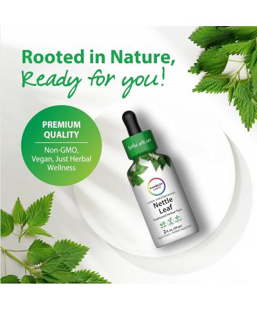 Rainbow Light Nettle Leaf Liquid Extract | 2 Fl Oz | Super Concentrated | Alcohol Free | Non-GMO and Gluten Free Herbal Supplement - Buy Online on GoSupps.com
