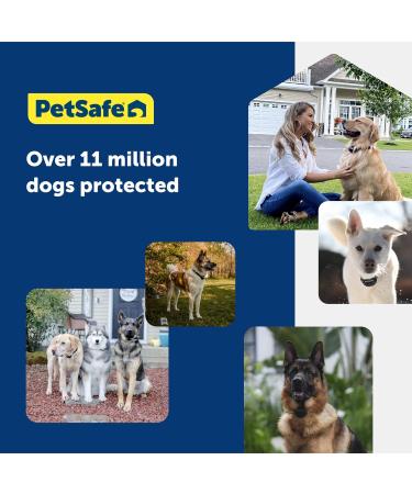 PetSafe Stay + Play Wireless Fence Receiver Collar for Dogs and Cats Waterproof and Rechargeable Tone and Static Stimulation Receiver Collar Only - Buy Online on GoSupps.com