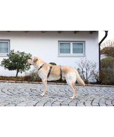 Kerbl 80044 Panic Harness Miami | Escape-proof Dog Harness | Grey 64-100cm | International Shipping Available - Buy Online on GoSupps.com