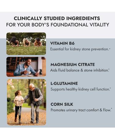 Axobotanica Kidney Cleanse Detox & Repair Formula with Vitamin B6 Magnesium & Cornsilk - Urinary Tract & Bladder Support - Herbal Supplements 240 Capsules(2 Bottles 120 Servings) - Buy Online on GoSupps.com