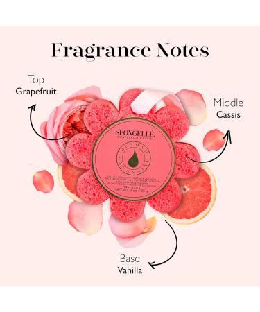 Spongelle Grapefruit Cassis Wild Flower Loofah Body Scrubber Exfoliating Bath & Shower Sponge for Women | 14+ Uses | Infused with Zesty Grapefruit Cassis & Vanilla - Buy Online on GoSupps.com