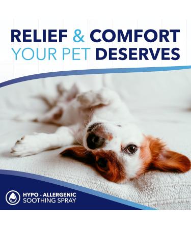 TropiClean OxyMed Hypoallergenic Anti-Itching Spray for Dogs - 236ml | Made in USA | Moisturizing Relief for Allergies & Hot Spots - Buy Online on GoSupps.com