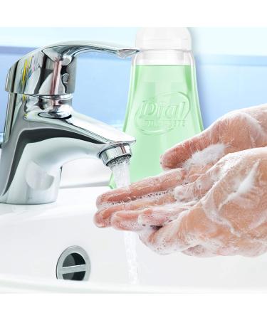 Dial Complete Antibacterial Foaming Hand Wash Fresh Pear 7.5oz - Single Pack - Buy Online on GoSupps.com