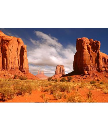 100% Natural Wilco Classic Jojoba Oil 100ml - Pure Moisturizing Oil for Skin & Hair Care - Buy Online on GoSupps.com